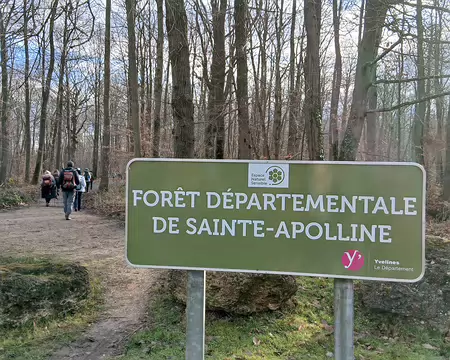 015 Arrivée dans la forêt départementale de Sainte-Apolline par la rue de Villancy à Neauphle-le-Château