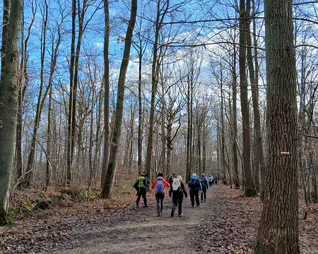 017 Le GR 11 dans la forêt de Sainte-Apolline