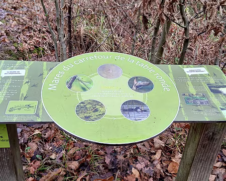 022 Les mares et la biodiversité