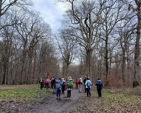 024 Le carrefour de la Table Ronde au cœur de la forêt de Sainte-Apolline