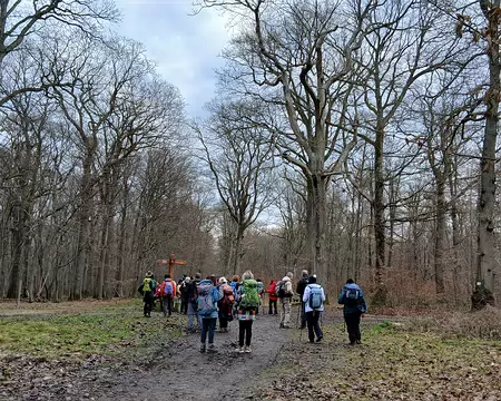 024 Le carrefour de la Table Ronde au cœur de la forêt de Sainte-Apolline