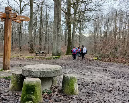 026 Après le carrefour de la Table Ronde, direction le sud-est par la route forestière de Plaisir