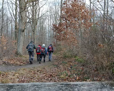 031 Retour dans la forêt