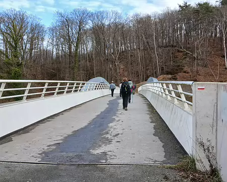 036 Traversée de la route des Deux Plateaux (RD 30) sur la passerelle du bois de la Cranne