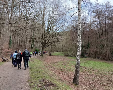 040 Le bois de la Cranne est situé à l’extrémité occidentale de la forêt de Bois-d’Arcy