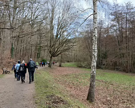 040 Le bois de la Cranne est situé à l’extrémité occidentale de la forêt de Bois-d’Arcy