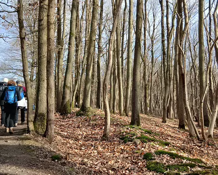 045 Un rayon de soleil dans la forêt domaniale de Bois-d’Arcy
