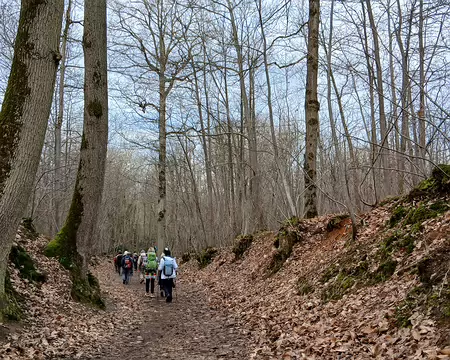 046 La forêt domaniale de Bois-d’Arcy (450 ha) s’étire sur 8 km d’ouest en est sur le rebord du plateau de Trappes