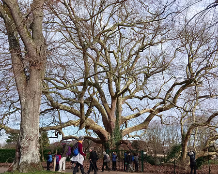 050 Merci Pascal pour cette belle randonnée dans les Yvelines