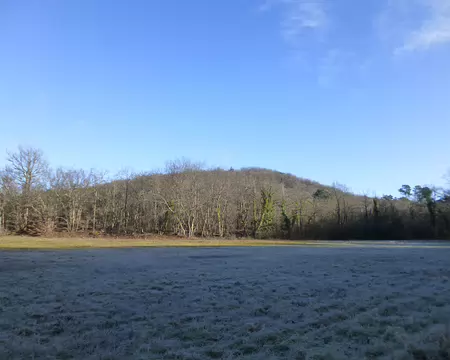 P1220324 Sous le givre