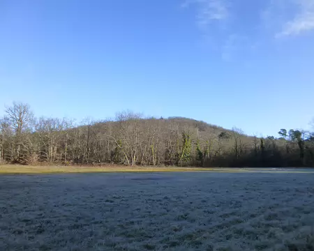 P1220324 Sous le givre
