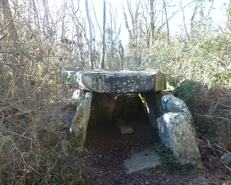 P1220333 Le dolmen de Janville