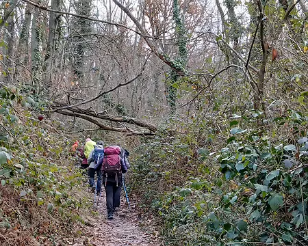 005 Montée vers le plateau