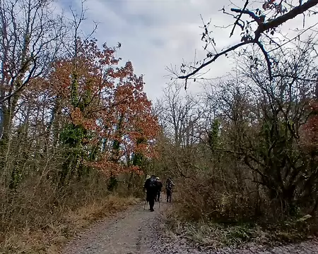 009 Sur les hauteurs d’Auvers-Saint-Georges