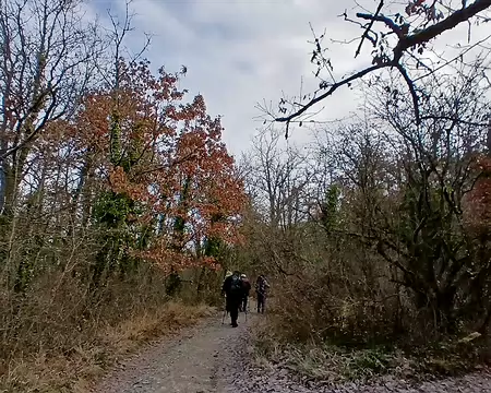 009 Sur les hauteurs d’Auvers-Saint-Georges