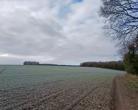 010 Paysage hivernal