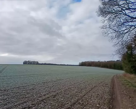 010 Paysage hivernal