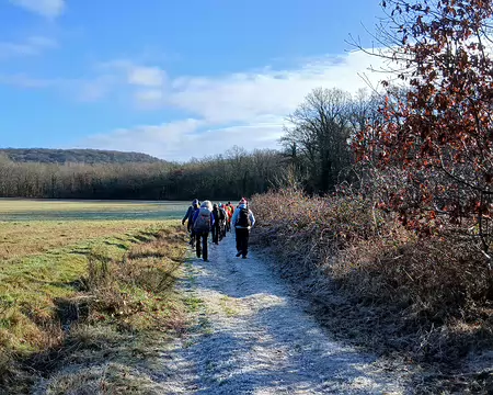 013 Entre bois et champs