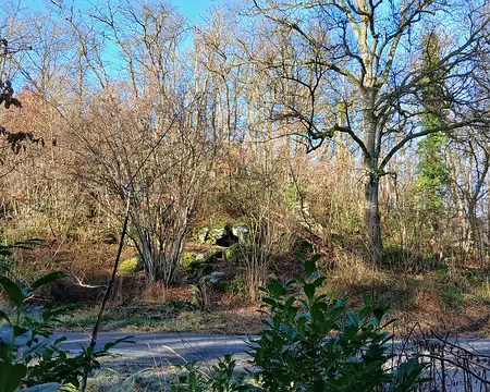 015 Petit aller-retour pour aller voir le Trou du Sarrazin, cavité naturelle creusée dans la roche (grès de Fontainebleau)