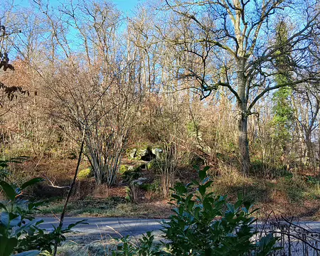 015 Petit aller-retour pour aller voir le Trou du Sarrazin, cavité naturelle creusée dans la roche (grès de Fontainebleau)
