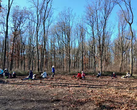 019 Pique-nique convivial à l’orée du bois