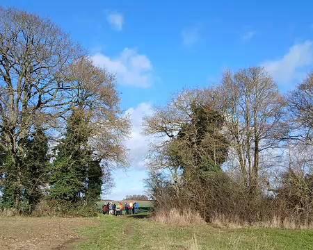 021 Quelques beaux arbres