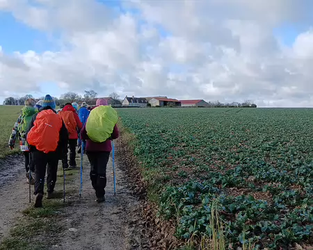 023 où l’on cultive des betteraves et des céréales