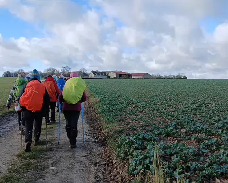 023 où l’on cultive des betteraves et des céréales