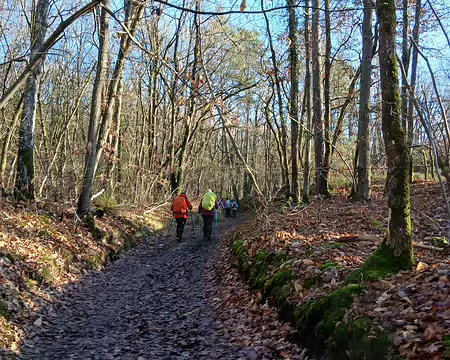 027 Dans le bois de Pernaison
