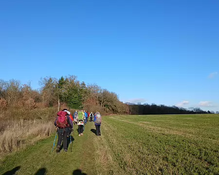 028 Le chemin qui mène au dolmen de la Pierre levée
