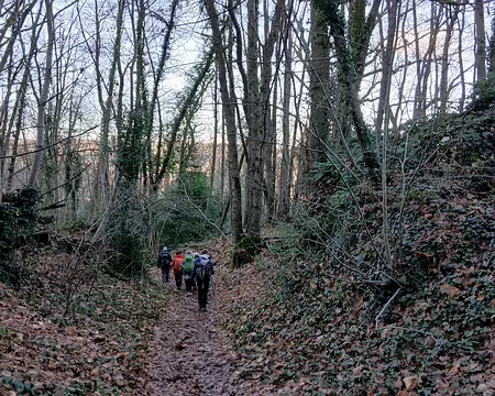 032 Descente vers le village de Janville-sur-Juine