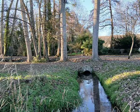 037 Le parc municipal de Janville-sur-Juine au bord de la rivière