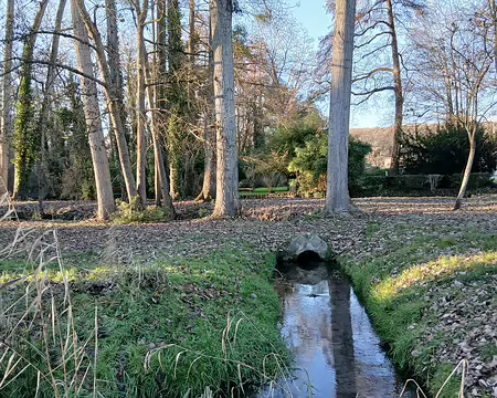 037 Le parc municipal de Janville-sur-Juine au bord de la rivière