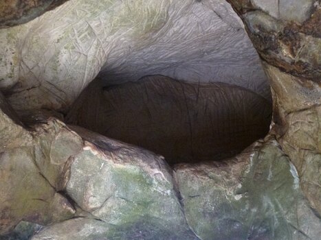 Dominique Dominique F, détail sortie