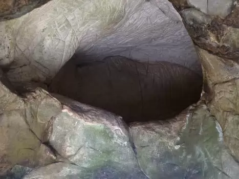 Dominique Dominique F, détail sortie