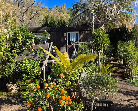 103 Cabane où va avoir la dégustation des produits du domaine Gannac.