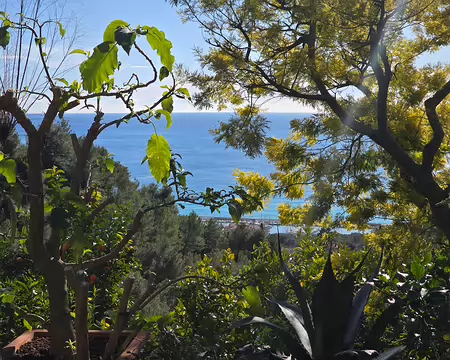 108 Fondée par Laurent Gannac visionnaire, il a transformé des terrains abrupts en vergers de citronniers en terrasses.