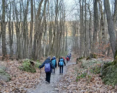 004 Descente vers les étangs de Corot