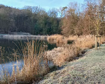 007 En amont, le Vieil Etang était utilisé au Moyen-Âge par les moines pour la pêche