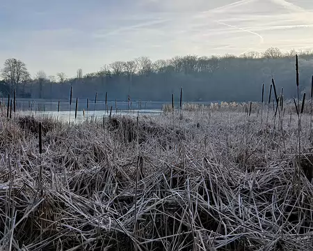 009 Ambiance hivernale (Vieil Etang)