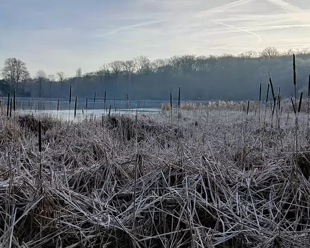 009 Ambiance hivernale (Vieil Etang)