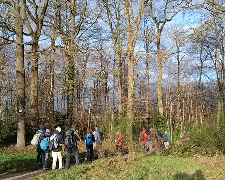 013 Sur le chemin de la Brèche (ceinture verte). Ce chemin des lisières fait le tour de Versailles