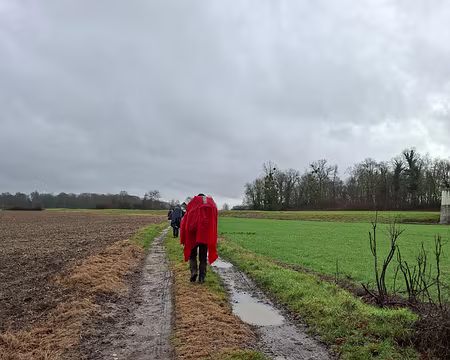 20260201_110000-xg-is