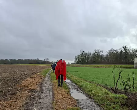 20260201_110000-xg-is