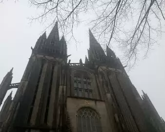 IMG_20260221_104451005_MFNR