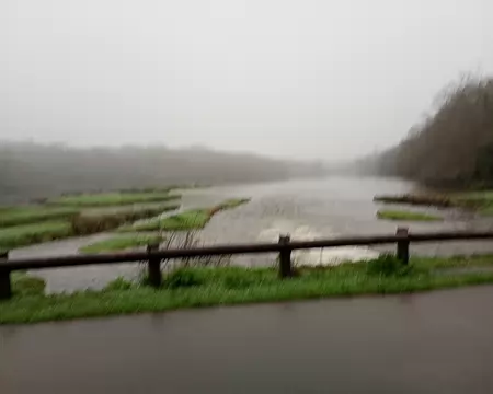 IMG_20260223_094724528_MFNR