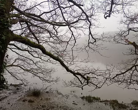 IMG_20260223_095802043_MFNR