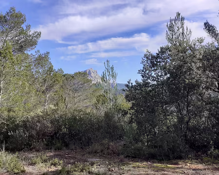 20260206_125336 Au loin : la Sainte-Victoire nous attend