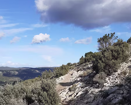 20260206_154522 ... sur un petit sentier rocailleux