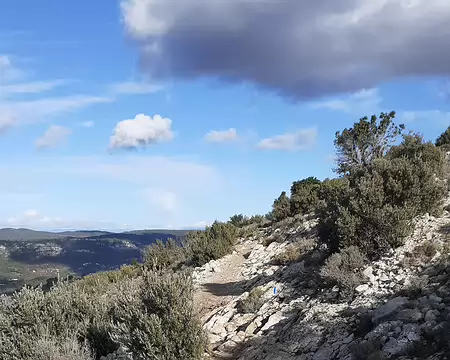 20260206_154522 ... sur un petit sentier rocailleux